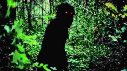 Uncle Boonmee Who Can Recall His Past Lives (2010) with English Subtitles on DVD