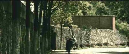 Under the Hawthorn Tree (2010) with English Subtitles on DVD - Image 2