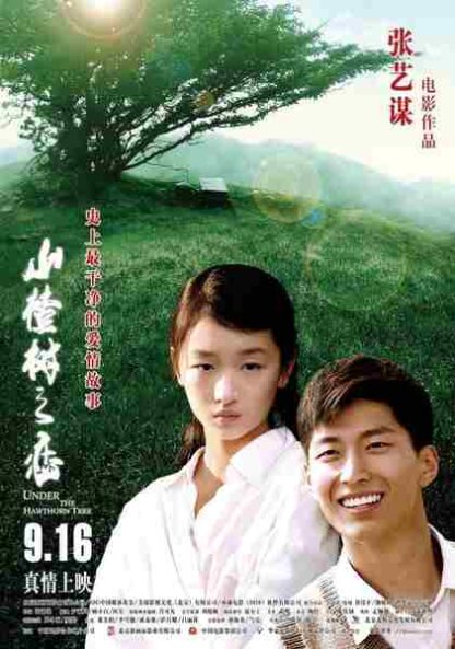 Under the Hawthorn Tree (2010) with English Subtitles on DVD - Image 5