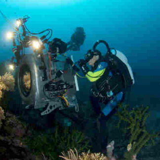 Under the Sea 3D (2009) Starring Jim Carrey on DVD