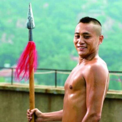 Underdog Knight (2008) with English Subtitles on DVD