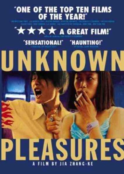 Unknown Pleasures (2002) with English Subtitles on DVD - Image 5
