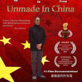Unmade in China (2012) Starring Ady An on DVD