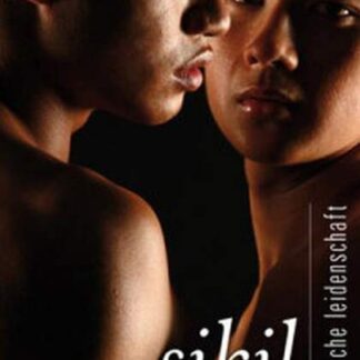 Unspoken Passion (2008) with English Subtitles on DVD