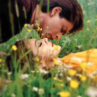 Veer-Zaara (2004) with English Subtitles on DVD