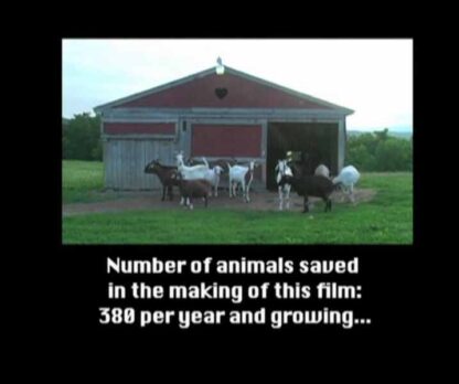 Vegucated (2011) Starring Marisa Miller Wolfson on DVD - Image 3