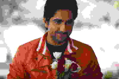 Vicky Donor (2012) with English Subtitles on DVD - Image 2