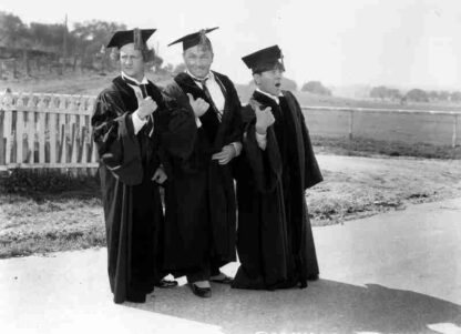 Violent Is the Word for Curly (1938) Starring Curly Howard on DVD - Image 3