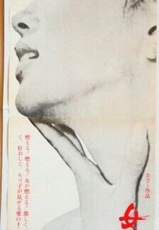 Vixen (1969) with English Subtitles on DVD