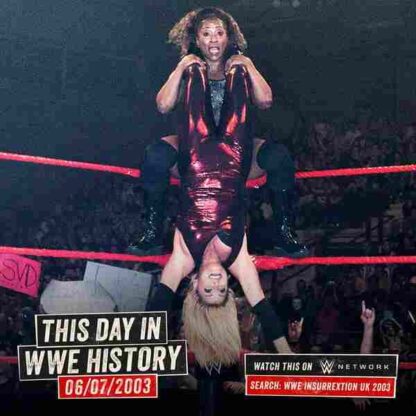 WWE Insurrextion (2003) Starring Paul Levesque on DVD - Image 4