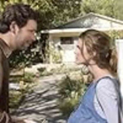 Waitress (2007) Starring Keri Russell on DVD - Image 4