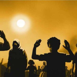 Waltz with Bashir (2008) with English Subtitles on DVD