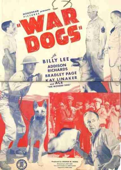 War Dogs (1942) Starring Billy Lee on DVD - Image 4