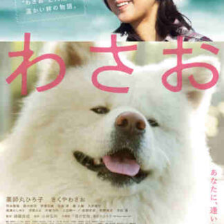 Wasao (2011) with English Subtitles on DVD