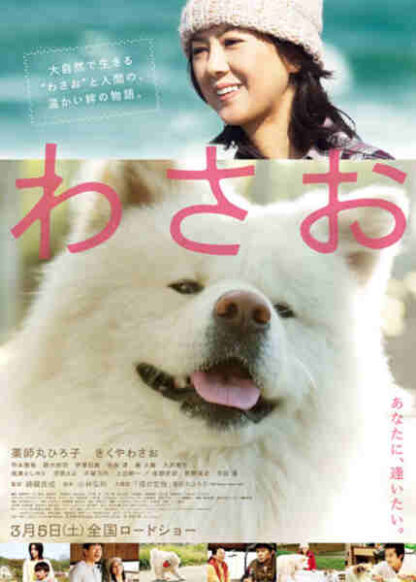 Wasao (2011) with English Subtitles on DVD