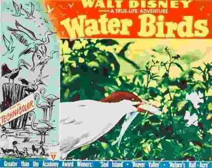 Water Birds (1952) Starring Winston Hibler on DVD - Image 3