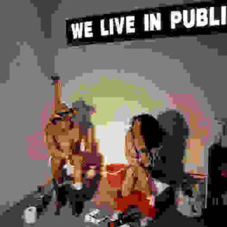 We Live in Public (2009) Starring Josh Harris on DVD
