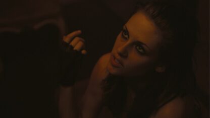 Welcome to the Rileys (2010) Starring James Gandolfini on DVD - Image 3