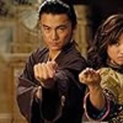 Wendy Wu: Homecoming Warrior (2006) Starring Brenda Song on DVD - Image 3