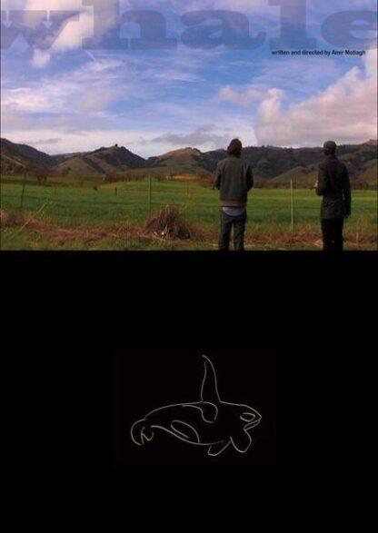 Whale (2010) Starring Amir Motlagh on DVD