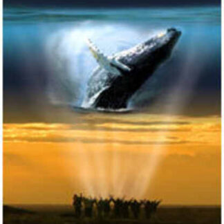 Whaledreamers (2006) Starring Pierce Brosnan on DVD