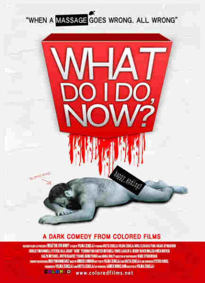 What Do I Do Now? (2009) Starring Noel Elgrably on DVD