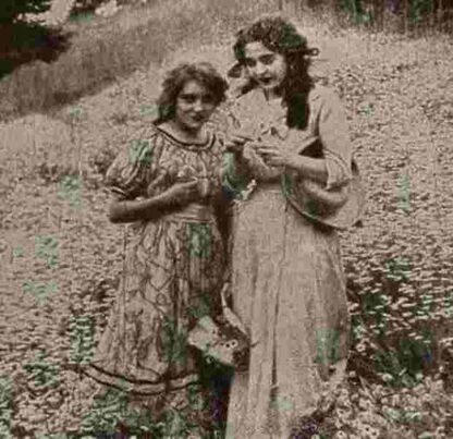 What the Daisy Said (1910) with English Subtitles on DVD - Image 3