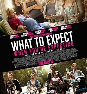 What to Expect When You're Expecting (2012) DVD
