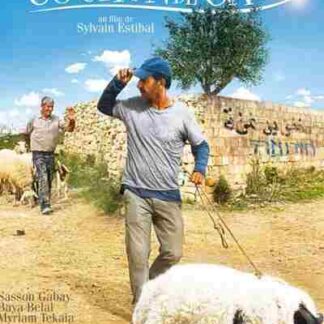 When Pigs Have Wings (2011) Starring Sasson Gabay on DVD