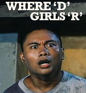 Where 'D' Girls 'R' (1996) DVD