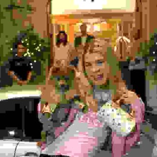 White Chicks (2004) Starring Shawn Wayans on DVD