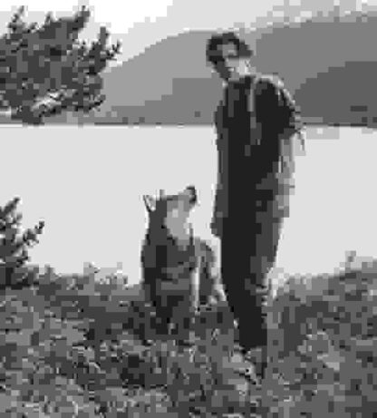 White Fang (1991) Starring Jed on DVD - Image 2