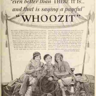 Whoozit (1928) with English Subtitles on DVD