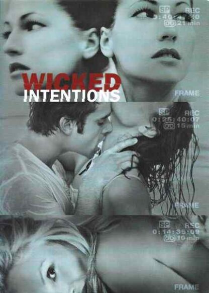 Wicked Pleasures (2002) with English Subtitles on DVD