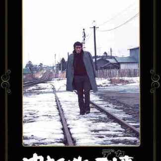 Wild Detective (1976) with English Subtitles on DVD