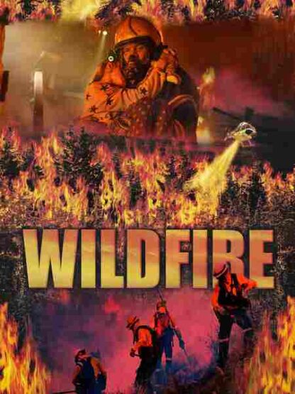 Wild Fire (2005) Starring Michael Preston on DVD - Image 2