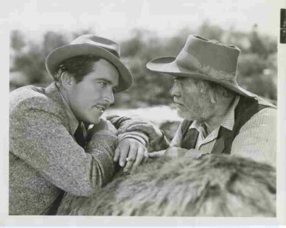 Wild Gold (1934) Starring John Boles on DVD - Image 2