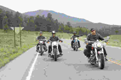 Wild Hogs (2007) Starring Tim Allen on DVD - Image 2