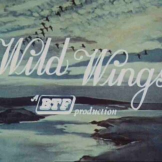 Wild Wings (1965) Starring  on DVD