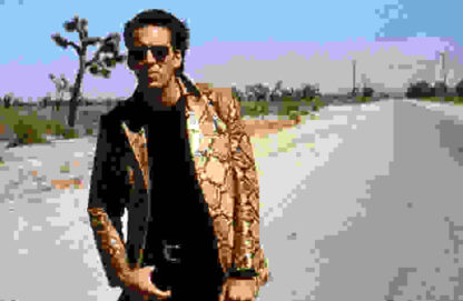 Wild at Heart (1990) Starring Nicolas Cage on DVD
