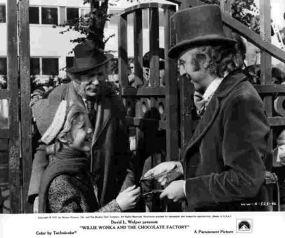 Willy Wonka & the Chocolate Factory (1971) Starring Gene Wilder on DVD