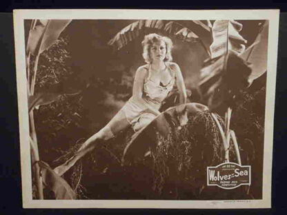 Wolves of the Sea (1936) Starring Hobart Bosworth on DVD - Image 2