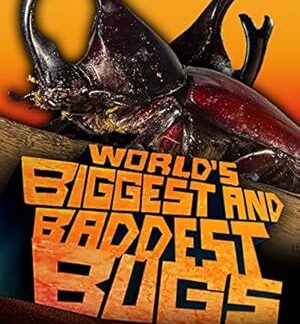 World's Biggest and Baddest Bugs (2009) DVD