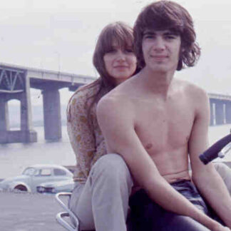 Wow (1970) with English Subtitles on DVD