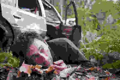 Wrecked (2010) Starring Adrien Brody on DVD - Image 3