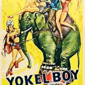 Yokel Boy (1942) Starring Albert Dekker on DVD