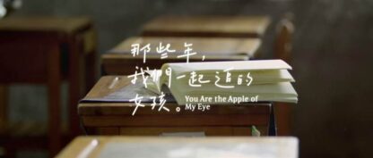 You Are the Apple of My Eye (2011) with English Subtitles on DVD