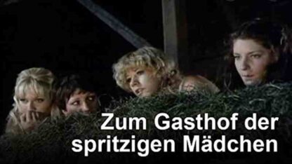 Zum Gasthof der spritzigen Mädchen (1979) with English Subtitles on DVD - Image 5