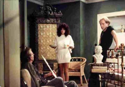 Zwei schräge Vögel (1989) with English Subtitles on DVD - Image 4